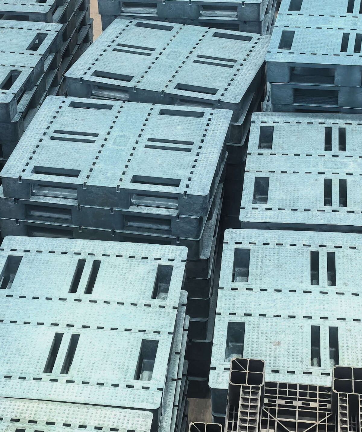 Stacks of blue recycled plastic pallets